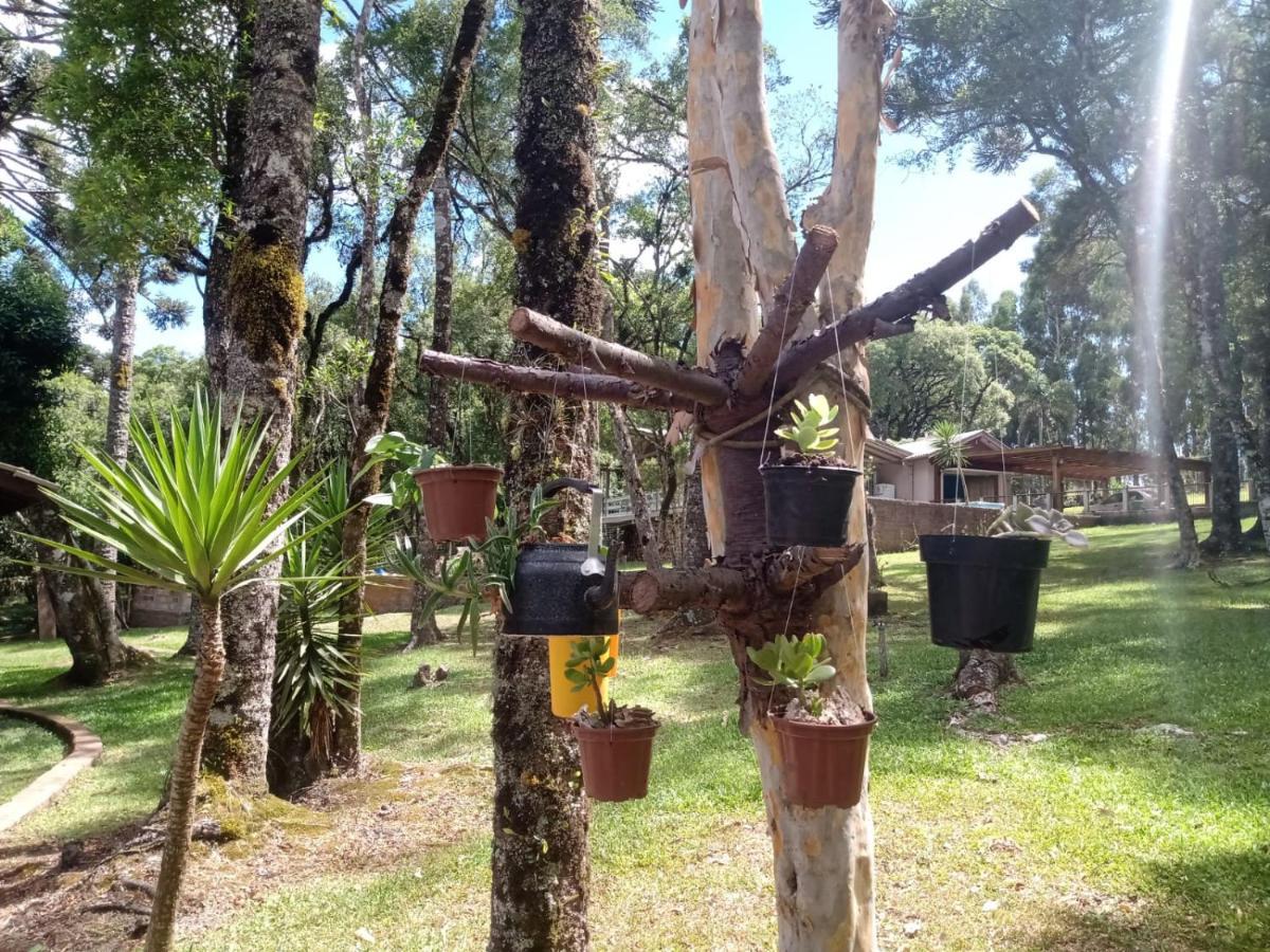 Quartos Recanto Da Natureza Interior Canela Dış mekan fotoğraf