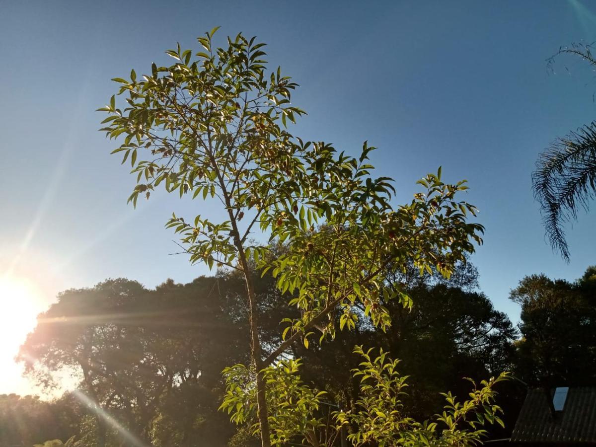 Quartos Recanto Da Natureza Interior Canela Dış mekan fotoğraf